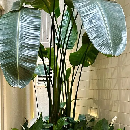 Rossio Luxury * Lisboa